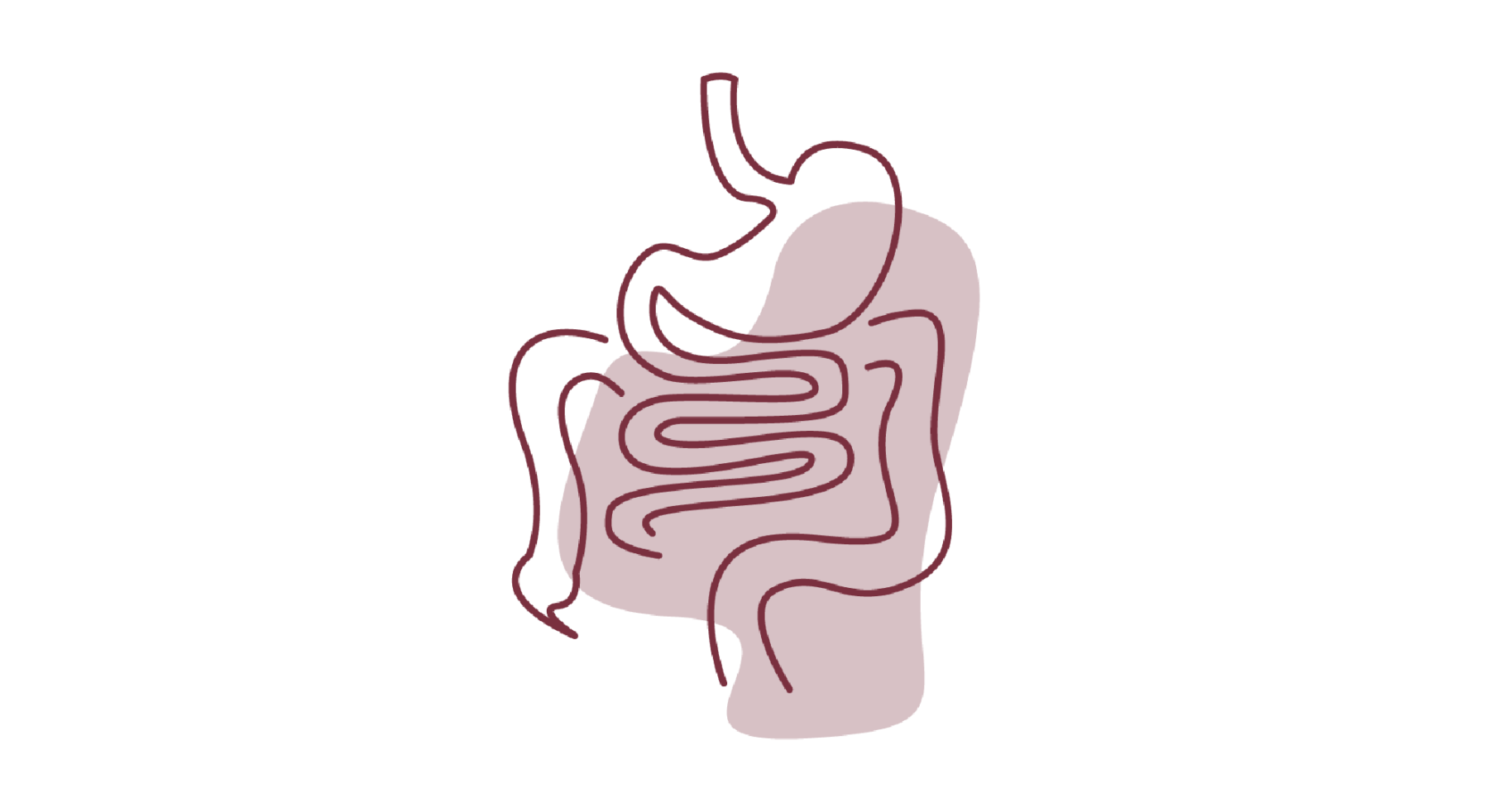 GI Tumoren Zeichenflaeche 1