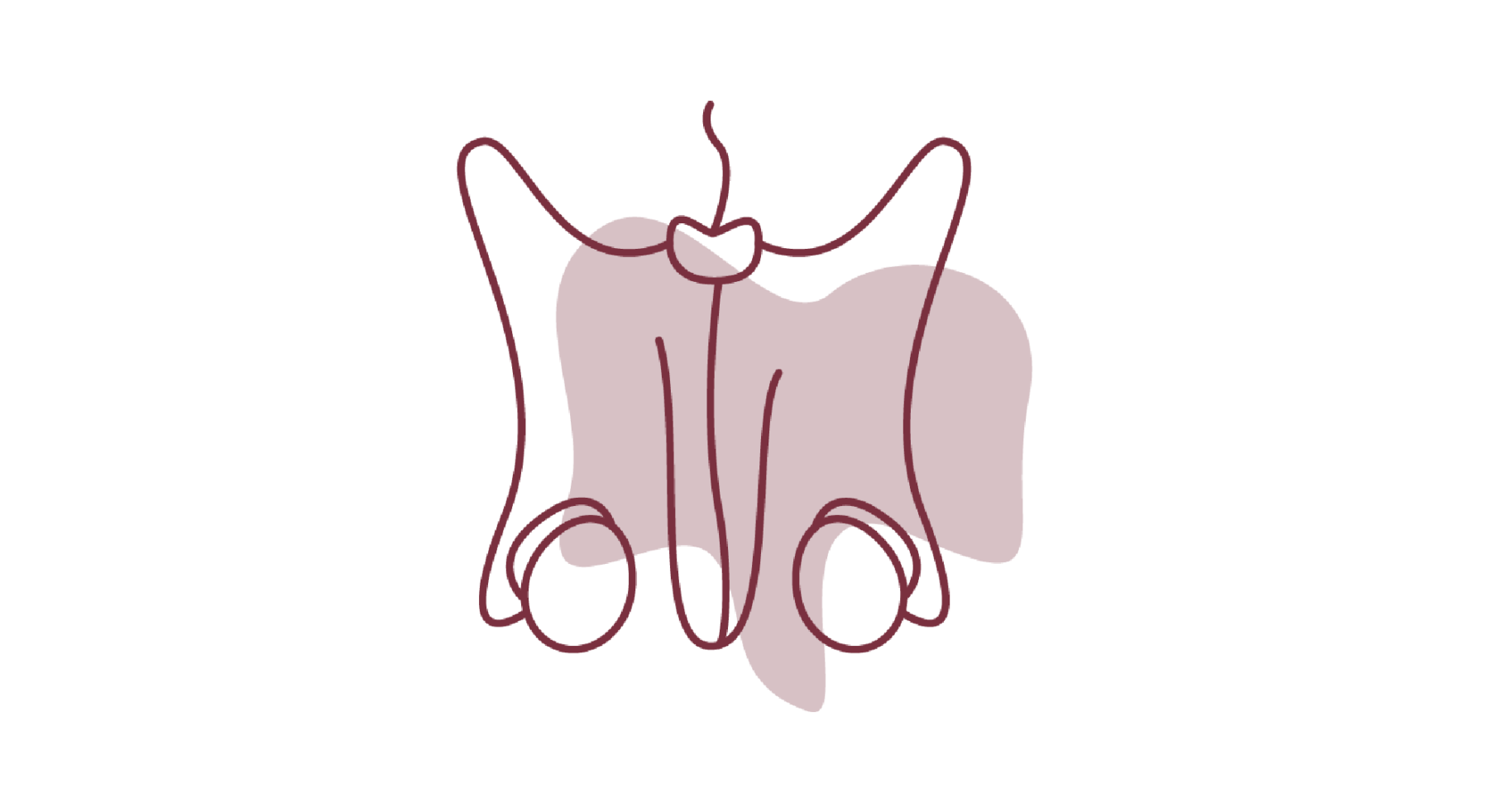 Urogenital Zeichenflaeche 1