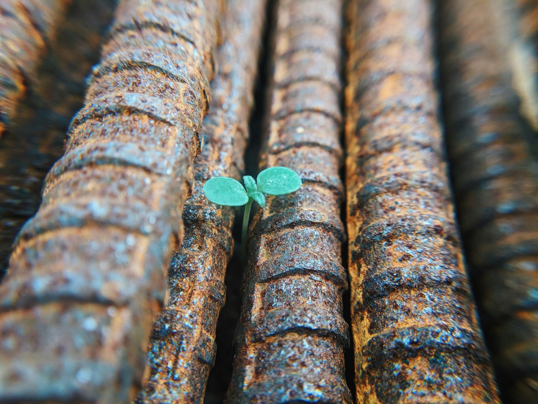 Faris mohammed n YGVN45 DO Hg unsplash