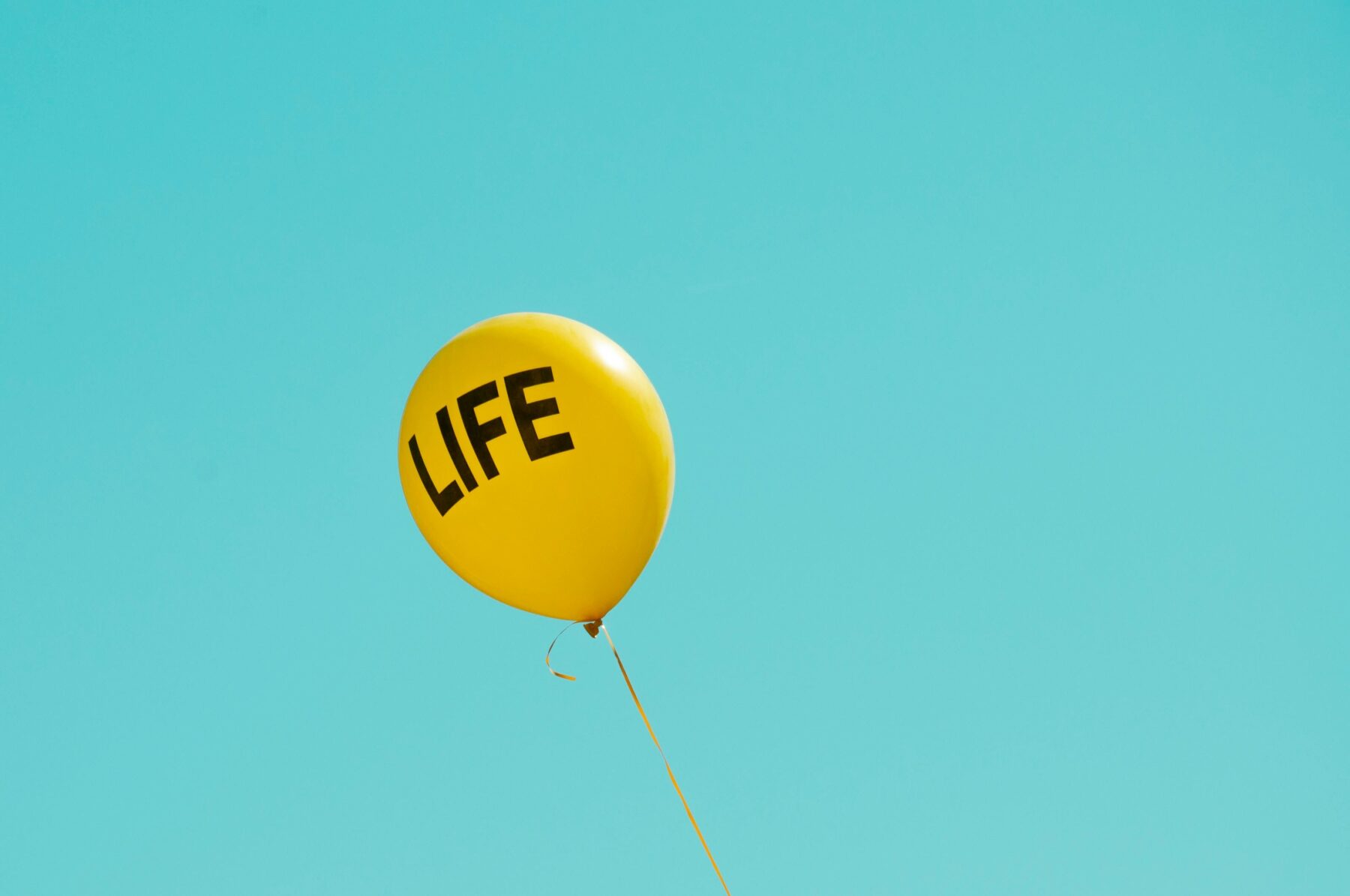 Maria oswalt b9 A Eml W Zp Cs unsplash