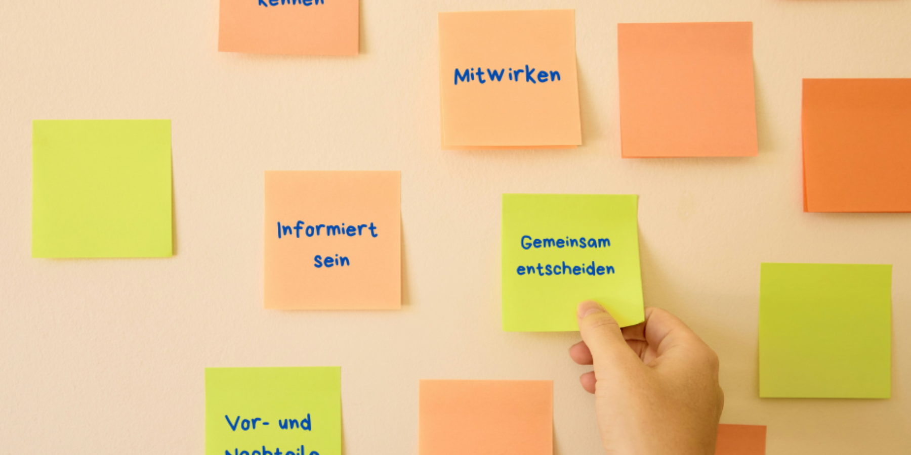 Blog BILD SDM Entscheidungen brauchen Wissen Mitwirken