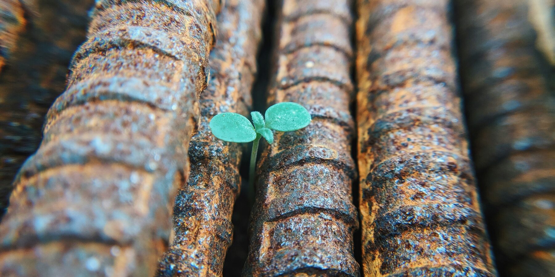 Faris mohammed n YGVN45 DO Hg unsplash