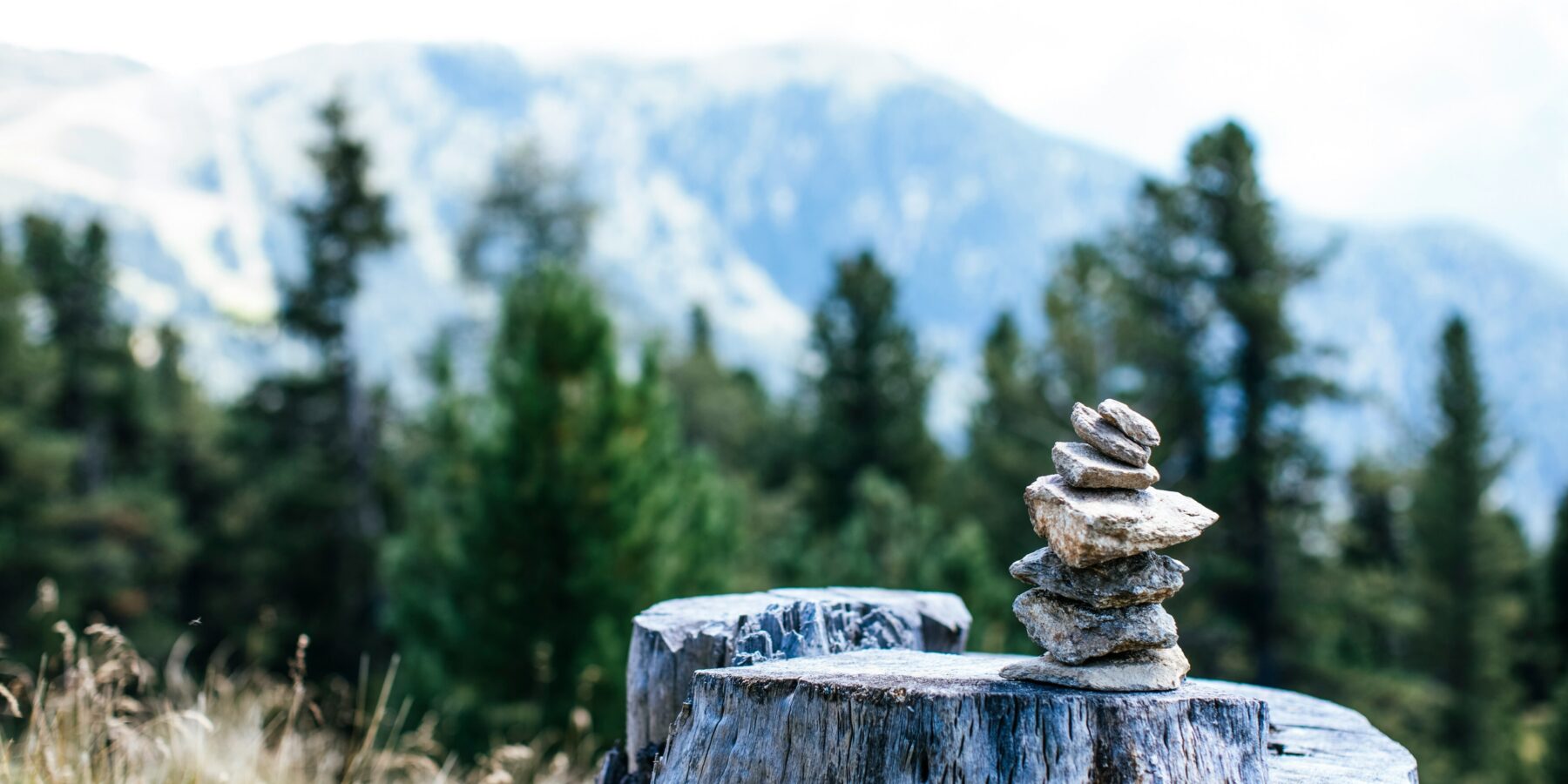 Markus spiske q C Ip K4 R Qu60 unsplash